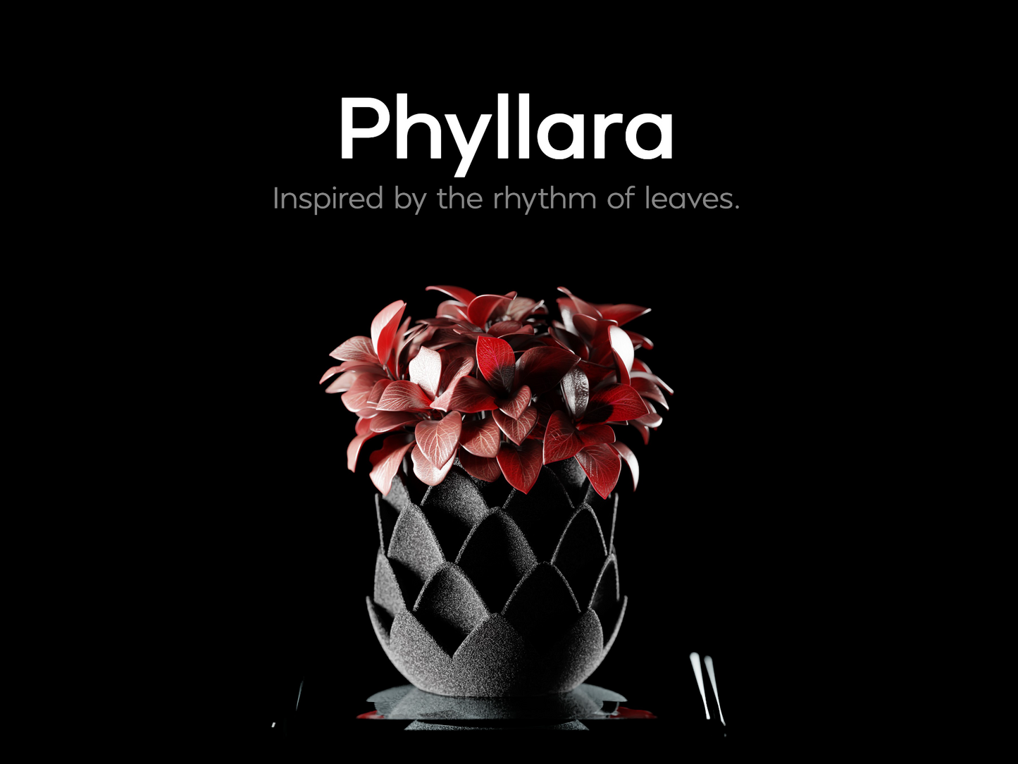 Phyllara Planter