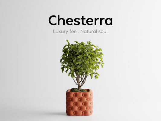 Chesterra Planter