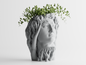 David Organic Vase