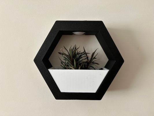 Hexagon Wall Planter