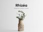 Rhizea Vase